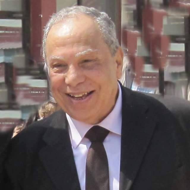 محمد حمدي إبراهيم